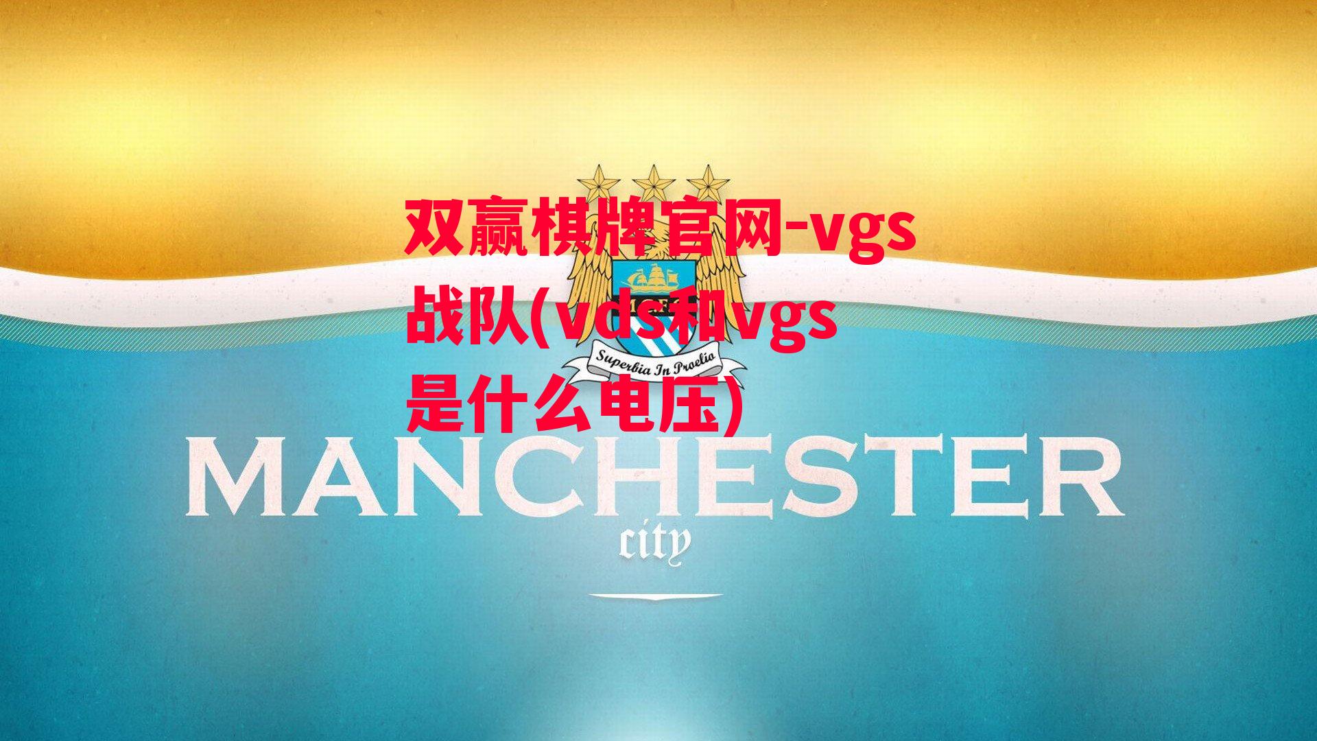 vgs战队(vds和vgs是什么电压)