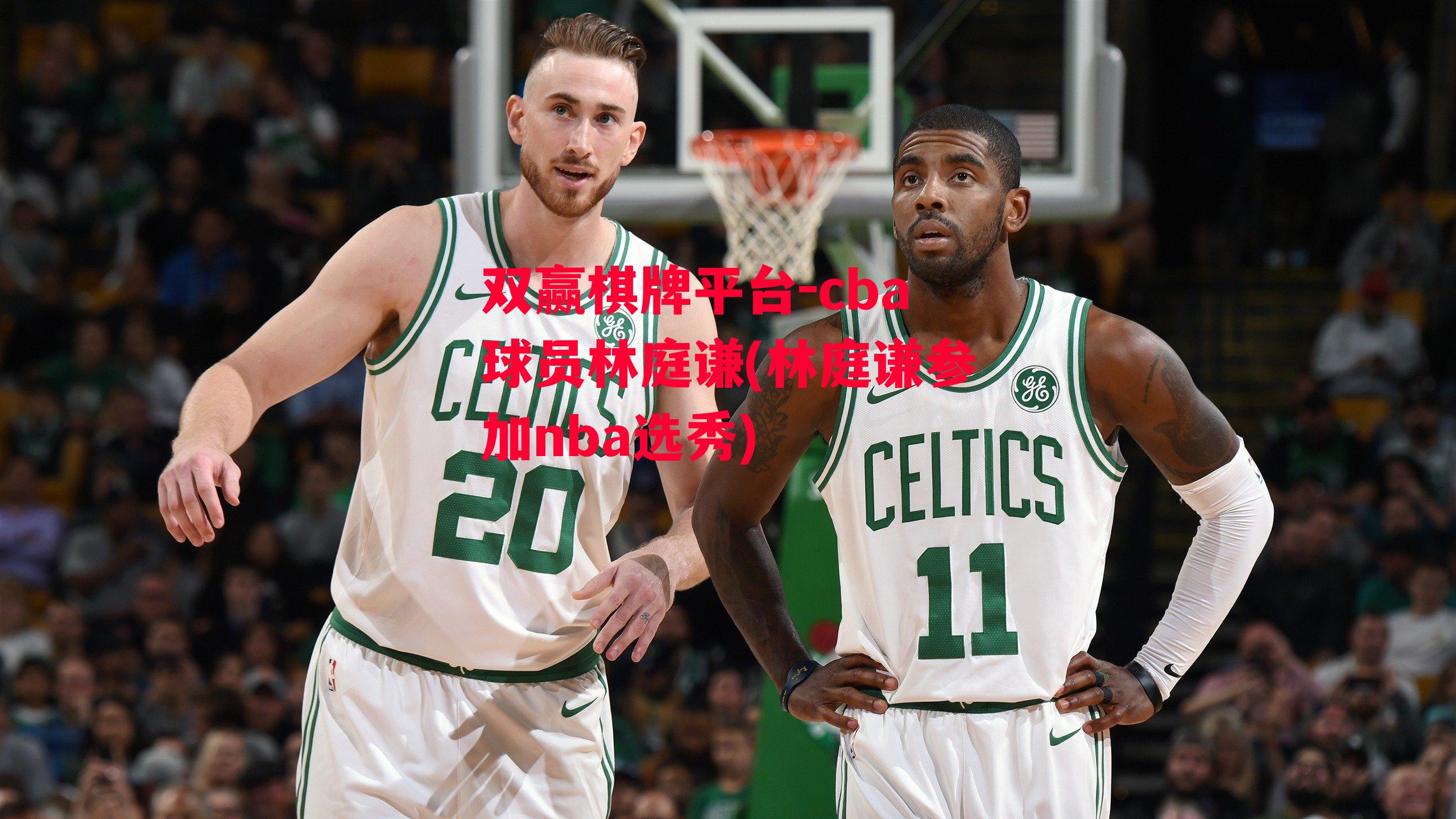 cba球员林庭谦(林庭谦参加nba选秀)